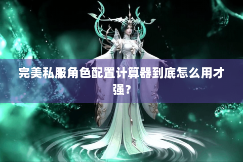 完美私服角色配置计算器到底怎么用才强？