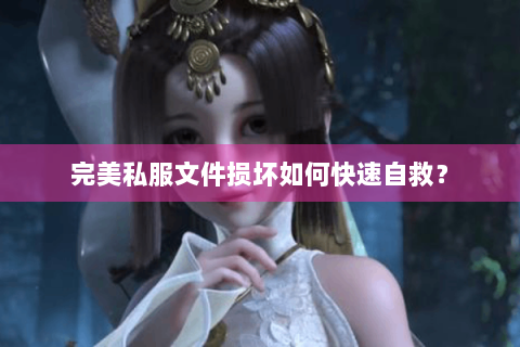 完美私服文件损坏如何快速自救？