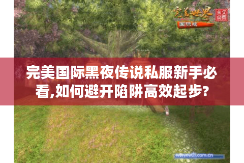 完美国际黑夜传说私服新手必看,如何避开陷阱高效起步?