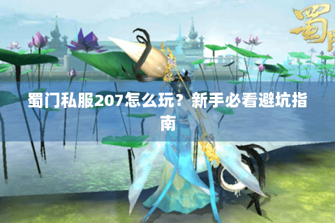 蜀门私服207怎么玩？新手必看避坑指南