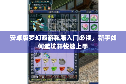 安卓版梦幻西游私服入门必读，新手如何避坑并快速上手