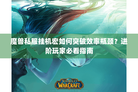 魔兽私服挂机宏如何突破效率瓶颈？进阶玩家必看指南