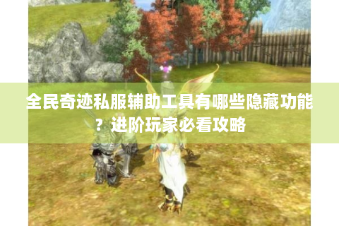 全民奇迹私服辅助工具有哪些隐藏功能？进阶玩家必看攻略