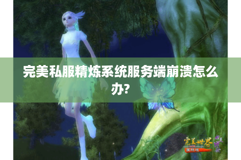 完美私服精炼系统服务端崩溃怎么办?