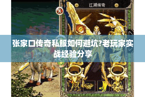 张家口传奇私服如何避坑?老玩家实战经验分享
