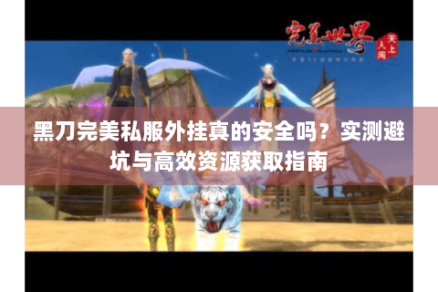 黑刀完美私服外挂真的安全吗？实测避坑与高效资源获取指南