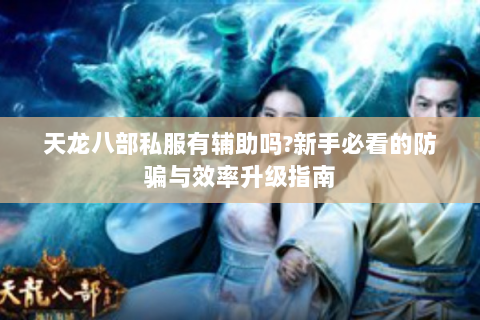 天龙八部私服有辅助吗?新手必看的防骗与效率升级指南