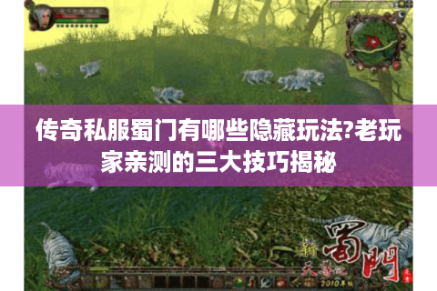 传奇私服蜀门有哪些隐藏玩法?老玩家亲测的三大技巧揭秘