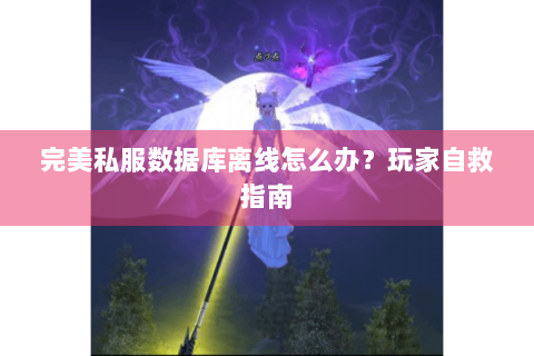 完美私服数据库离线怎么办？玩家自救指南