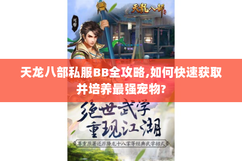 天龙八部私服BB全攻略,如何快速获取并培养最强宠物?