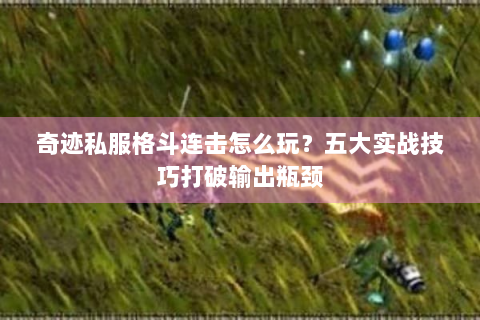 奇迹私服格斗连击怎么玩？五大实战技巧打破输出瓶颈