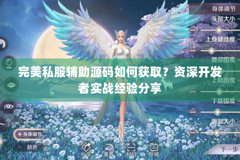 完美私服辅助源码如何获取？资深开发者实战经验分享