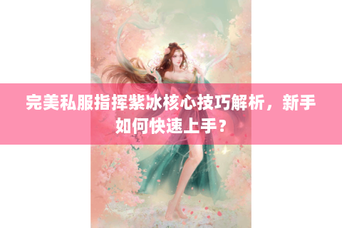 完美私服指挥紫冰核心技巧解析，新手如何快速上手？