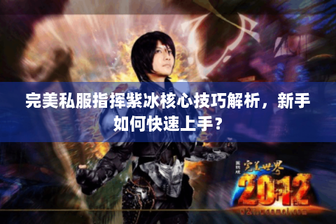 完美私服指挥紫冰核心技巧解析，新手如何快速上手？