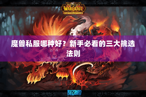 魔兽私服哪种好？新手必看的三大挑选法则
