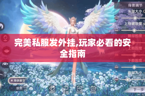 完美私服发外挂,玩家必看的安全指南