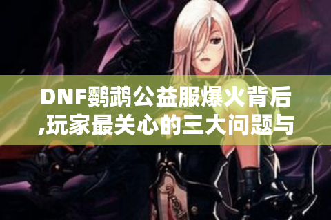 DNF鹦鹉公益服爆火背后,玩家最关心的三大问题与解决指南