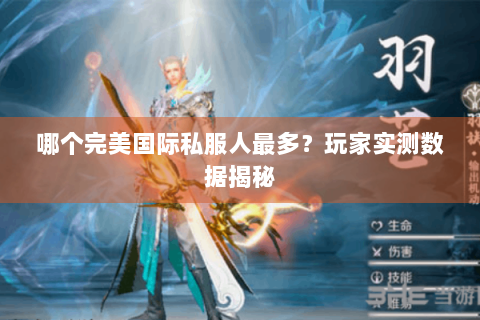 哪个完美国际私服人最多？玩家实测数据揭秘