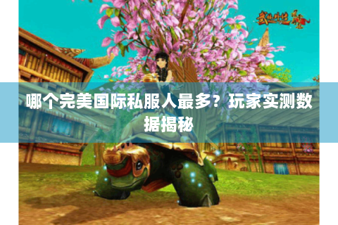 哪个完美国际私服人最多？玩家实测数据揭秘