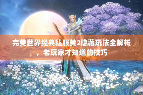 完美世界经典私服黄2隐藏玩法全解析，老玩家才知道的技巧
