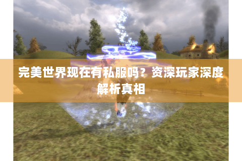 完美世界现在有私服吗？资深玩家深度解析真相