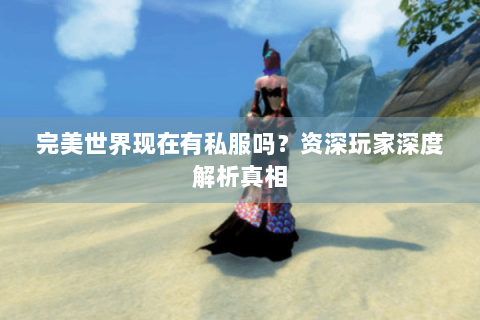 完美世界现在有私服吗？资深玩家深度解析真相
