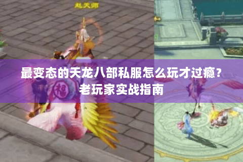 最变态的天龙八部私服怎么玩才过瘾？老玩家实战指南