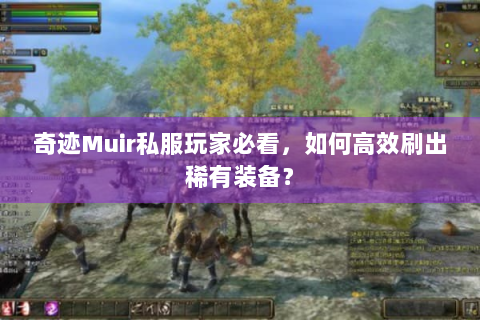 奇迹Muir私服玩家必看，如何高效刷出稀有装备？