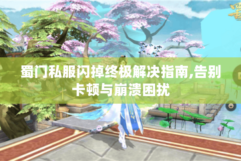 蜀门私服闪掉终极解决指南,告别卡顿与崩溃困扰