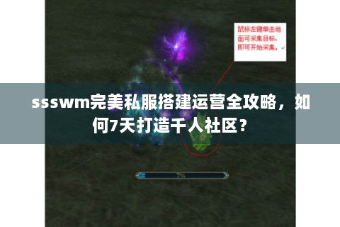 ssswm完美私服搭建运营全攻略，如何7天打造千人社区？