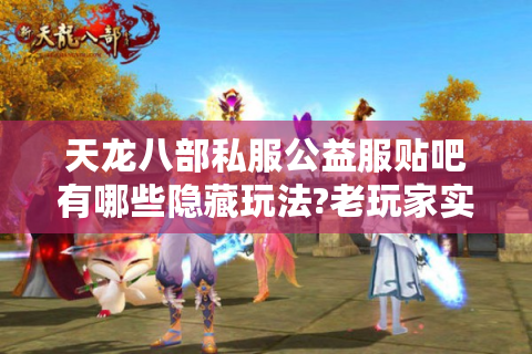 天龙八部私服公益服贴吧有哪些隐藏玩法?老玩家实测攻略