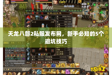 天龙八部2私服发布网，新手必知的5个避坑技巧