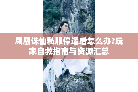 凤凰诛仙私服停运后怎么办?玩家自救指南与资源汇总