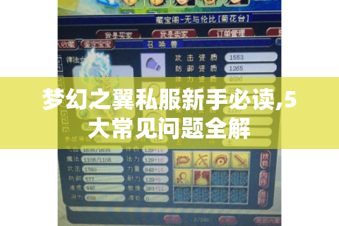梦幻之翼私服新手必读,5大常见问题全解