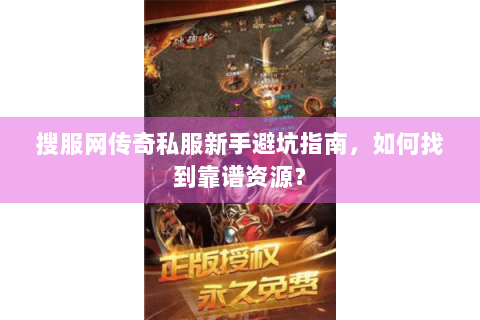 搜服网传奇私服新手避坑指南，如何找到靠谱资源？