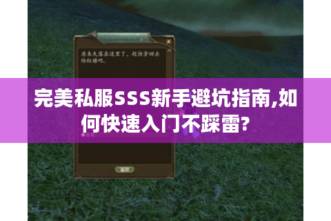 完美私服SSS新手避坑指南,如何快速入门不踩雷?