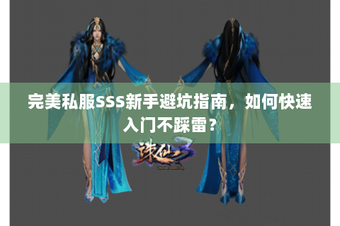 完美私服SSS新手避坑指南，如何快速入门不踩雷？