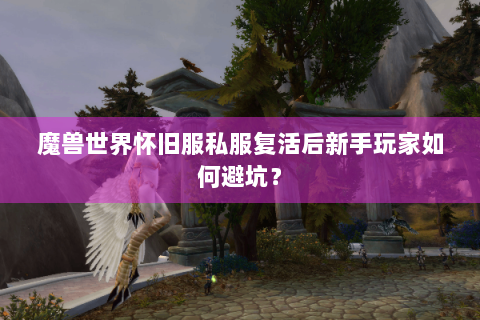魔兽世界怀旧服私服复活后新手玩家如何避坑？