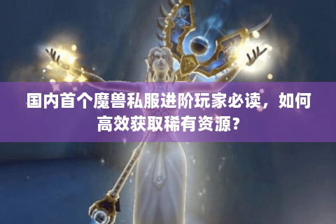 国内首个魔兽私服进阶玩家必读，如何高效获取稀有资源？