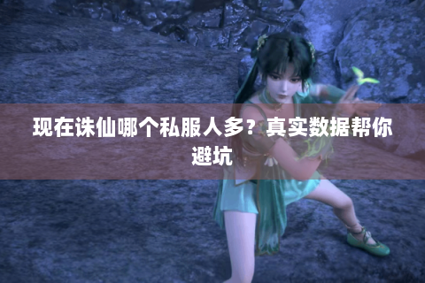 现在诛仙哪个私服人多？真实数据帮你避坑
