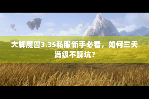 大脚魔兽3.35私服新手必看，如何三天满级不踩坑？
