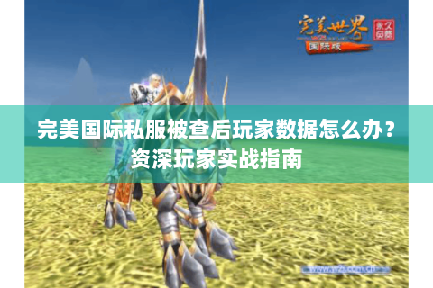 完美国际私服被查后玩家数据怎么办？资深玩家实战指南