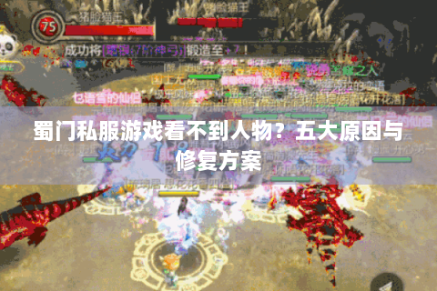 蜀门私服游戏看不到人物？五大原因与修复方案