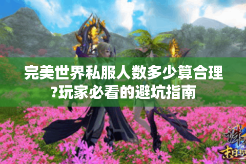 完美世界私服人数多少算合理?玩家必看的避坑指南