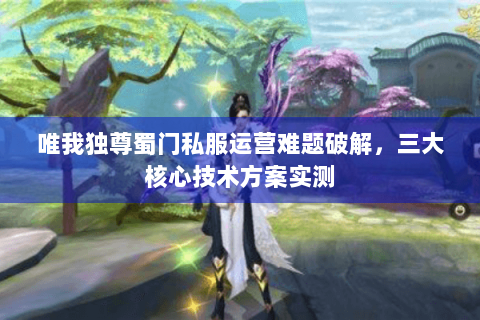 唯我独尊蜀门私服运营难题破解，三大核心技术方案实测