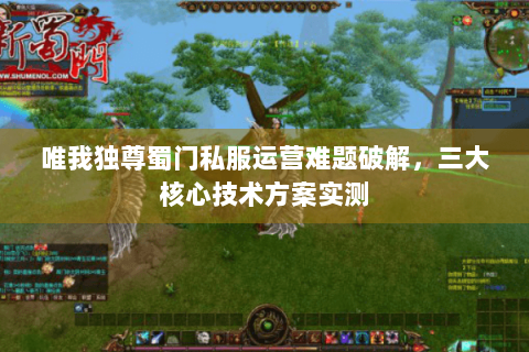 唯我独尊蜀门私服运营难题破解，三大核心技术方案实测