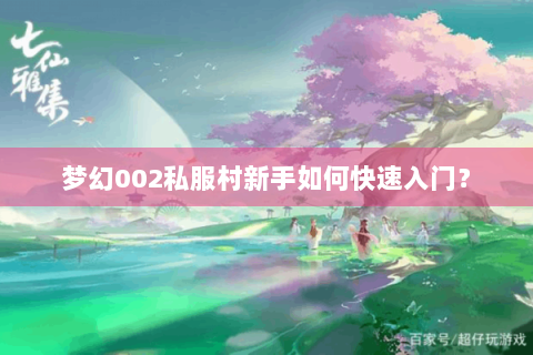 梦幻002私服村新手如何快速入门？