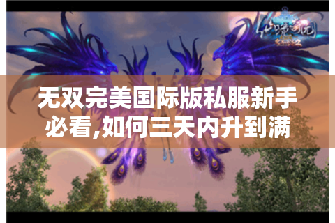 无双完美国际版私服新手必看,如何三天内升到满级?