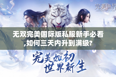 无双完美国际版私服新手必看,如何三天内升到满级?