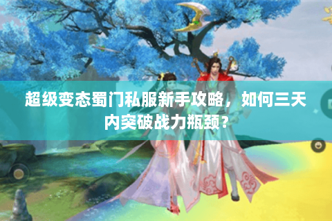 超级变态蜀门私服新手攻略，如何三天内突破战力瓶颈？